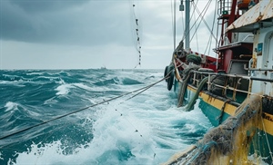 Pesca: Confcooperative Fedagripesca, accolte nostre richieste su carburanti, bene credito d’imposta del 20%